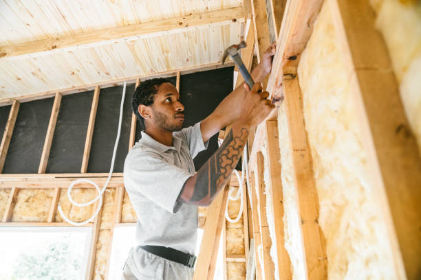 Best Attic Insulation Installation  in Craig Beach, OH